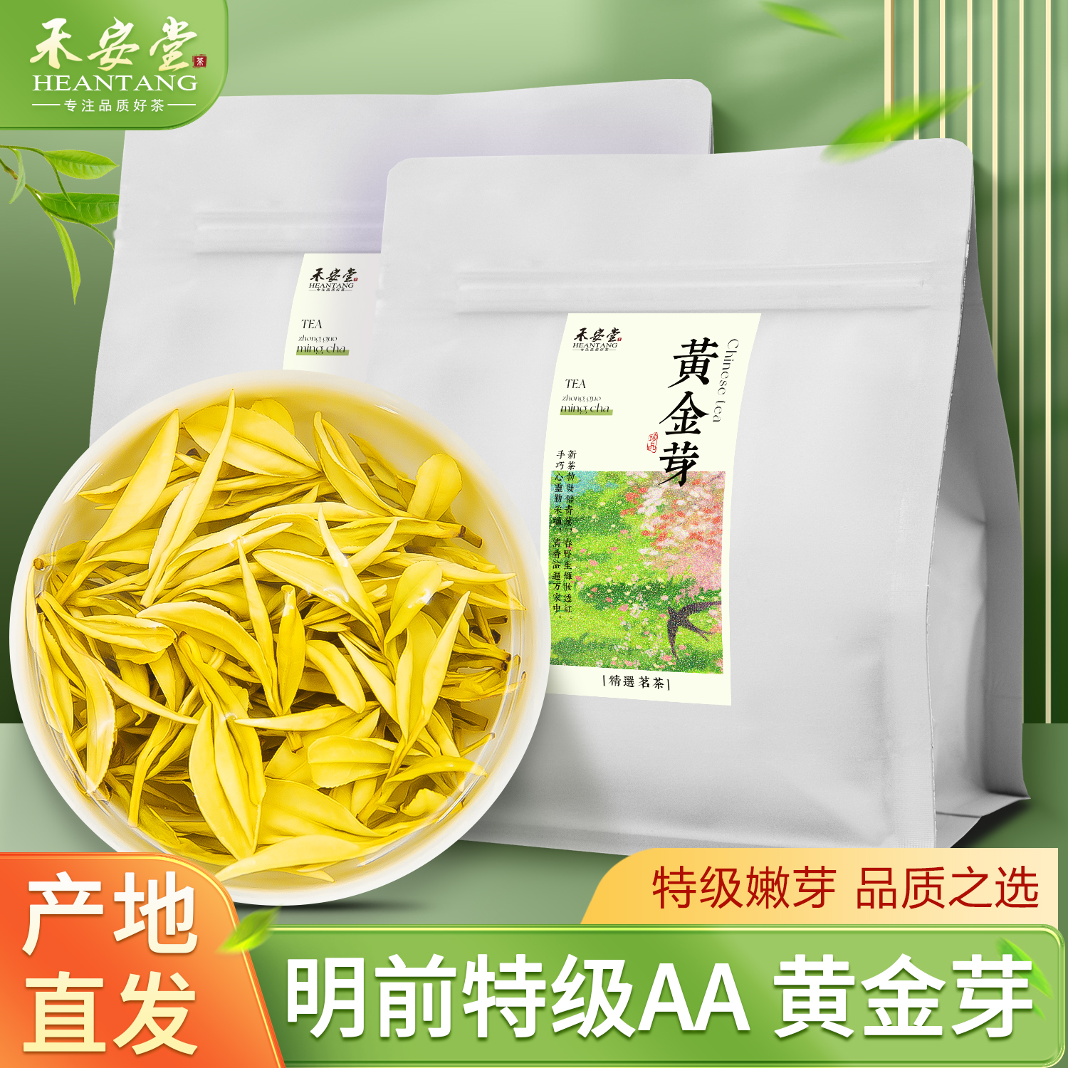 明前新茶黄金芽袋装春茶