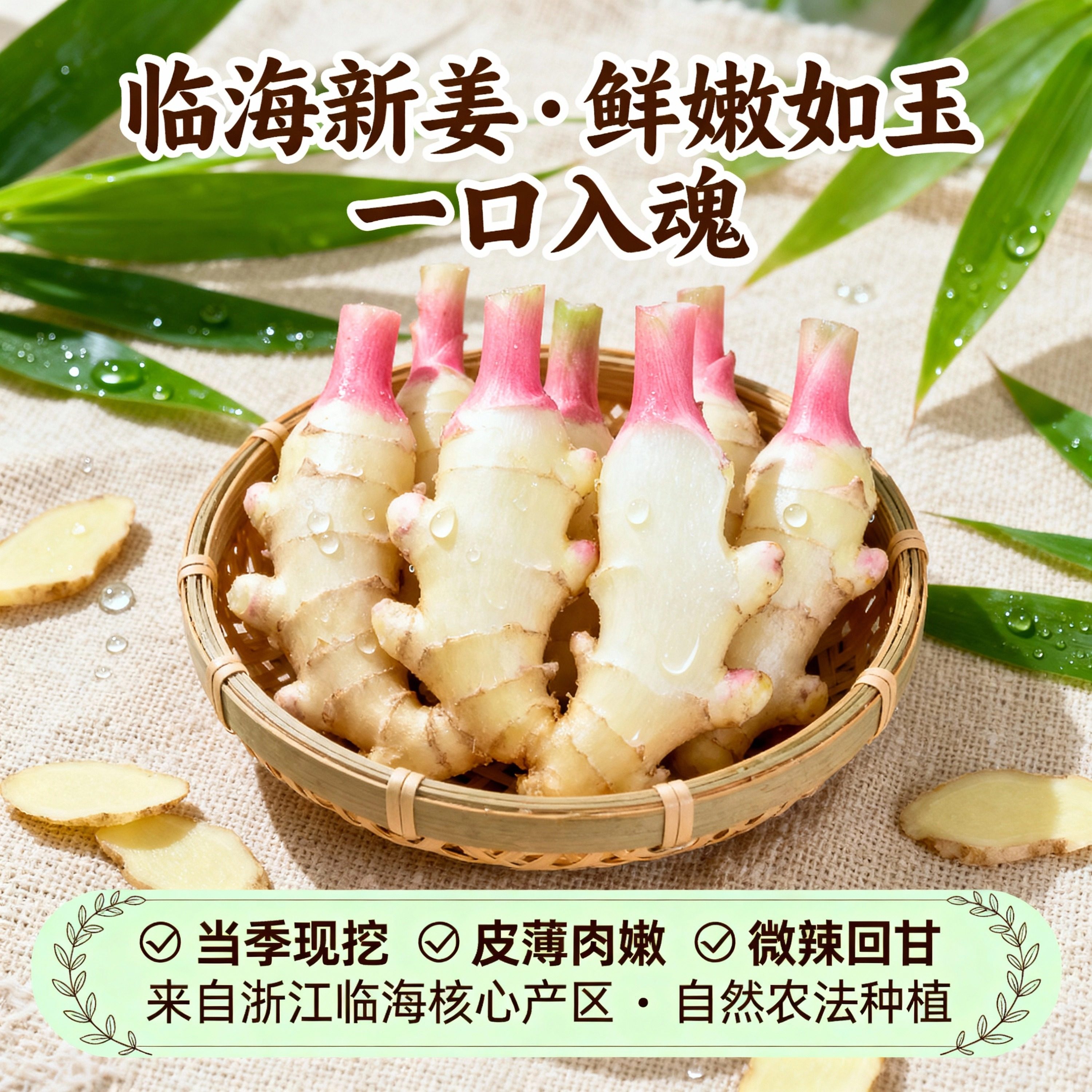 临海高山嫩姜小黄姜新鲜仔姜现挖当季农家自种驱寒炖汤炒菜专用