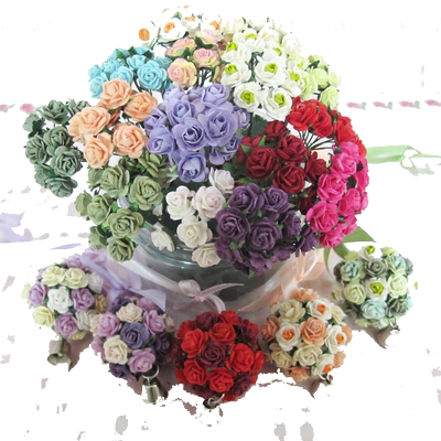 dollhousediy小屋派淇汏迷你植物