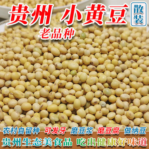 贵州小黄豆农家自留种小颗粒土黄豆非大豆非转基因大山里的老品种
