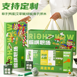 南三府粽横职场大气端午粽子礼盒