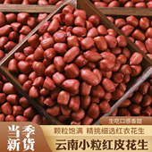 新货红皮花生米小颗粒生新货农家自产5斤云南红衣生花生仁新鲜
