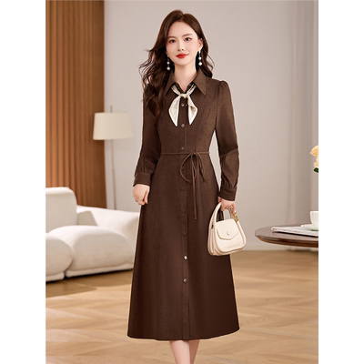 长袖连衣裙女春秋冬2025新款广州十三行爆款小个子高级感妈妈裙子
