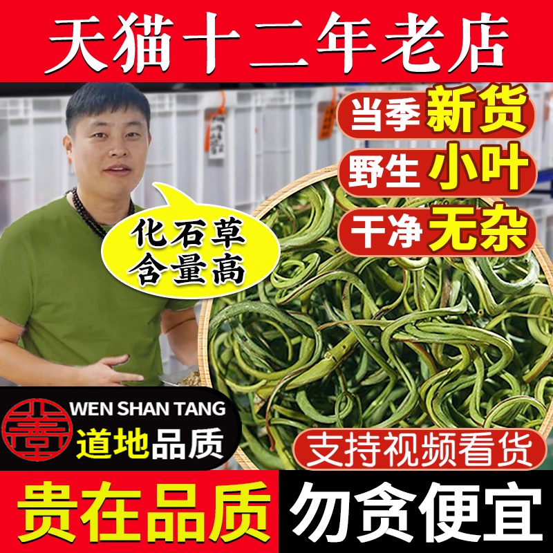 化石草（肾茶）肾精草嗷嗷叫草