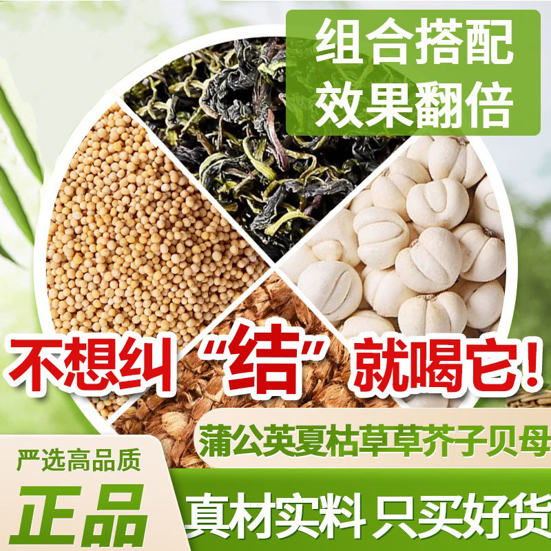 去节茶喝蒲公英夏枯草草芥子贝母