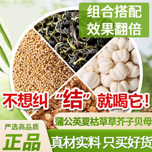 蒲公英夏枯草草芥子贝母各6g正品中药材原材料泡水煮水喝新鲜贝母