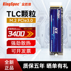 金胜维M.2固态硬盘NVMe2280