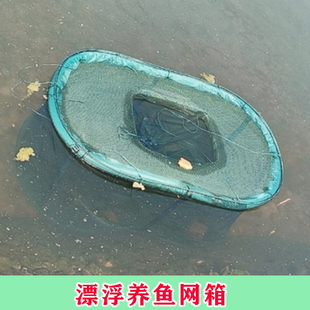 可折叠养殖网箱锦鲤漂浮养鱼网箱暂养鱼护存鱼漂浮箱装鱼笼养鱼箱