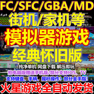 街机游戏 FC SFC GBA MD 小游戏PC电脑安卓手机怀旧合集街头霸王