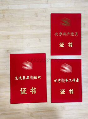 定制荣誉优秀绒面A4烫金丝绸先进工会基层党务工作者员工组织证书