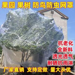 防虫网网罩大棚莲雾蓝莓网桃树杨梅树防鸟网罩罗幔蚊帐防鸟罩全罩