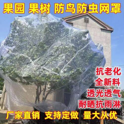 防虫网罩果园防虫害防果蝇白粉虱