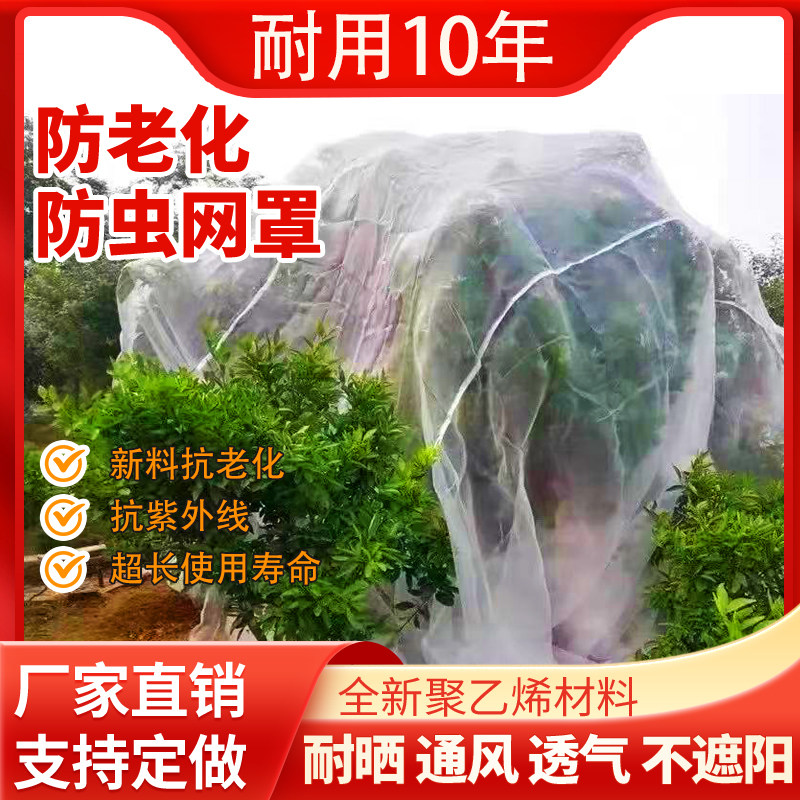 果树防虫网罩防虫网纱网防鸟网罩蔬菜大棚种菜专用密眼果园保护网