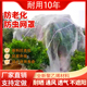 果树防虫网罩防虫网纱网防鸟网罩蔬菜大棚种菜专用密眼果园保护网