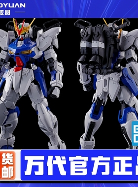 万代 64082 拼装模型 MG 1/100 高达 异端高达非规格机D PB限定