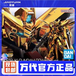现货 万代 RG 1/144 拂晓高达 大鹫装备 SEED电镀版 拼装模型