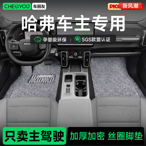 车丽友孕婴级环保丝圈脚垫