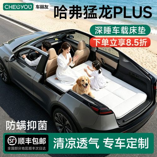 哈弗猛龙PLUS专用车载旅行床