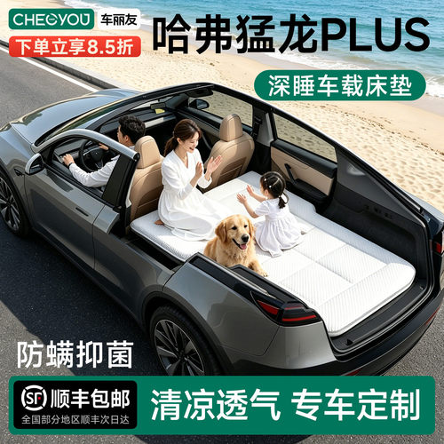 哈弗猛龙PLUS专用车载旅行床