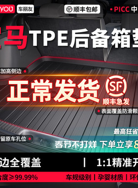 车丽友适用宝马X3 X1 X5 i3三系330五系325li 530汽车TPE后备箱垫