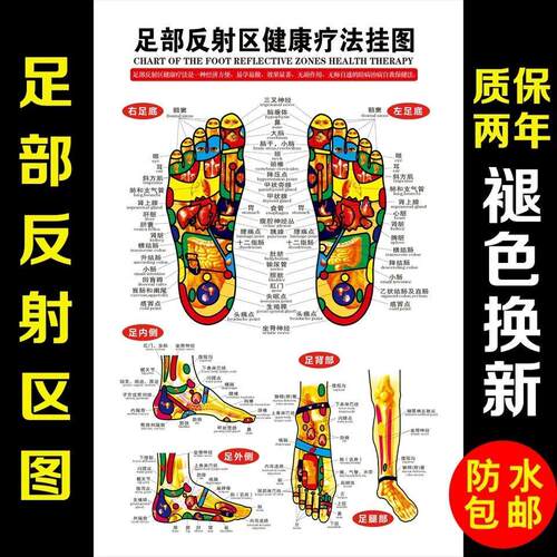 足部反射区挂图足底足疗按摩好处图片经络穴位图墙贴中医养生海报