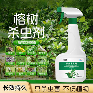 榕树杀虫剂金钱榕花打虫药介壳虫盆景虫害长虫卷叶虫蓟马人参虫子