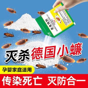 德国小蠊蟑螂药家用神端专用一窝全窝正灭除杀品非无毒非特效端器
