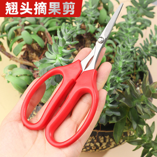 吉翘头剪刀果枝剪采摘水果剪树枝