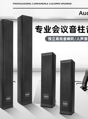 得普声DS50专业会议音箱学校广播音柱会议工程培训壁挂式家庭影院