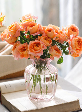 轻奢透明高级感玻璃花瓶摆件客厅插花复古餐桌矮水培玫瑰大肚宽口