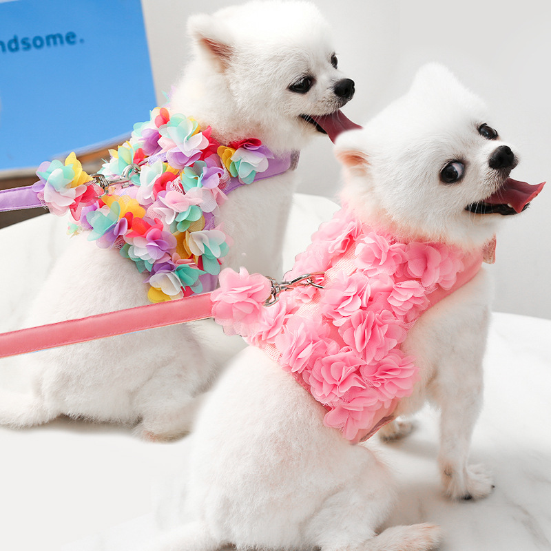 小中犬狗狗猫咪宠物衣服胸背带牵引花朵泰迪比熊春夏秋遛狗绳用品