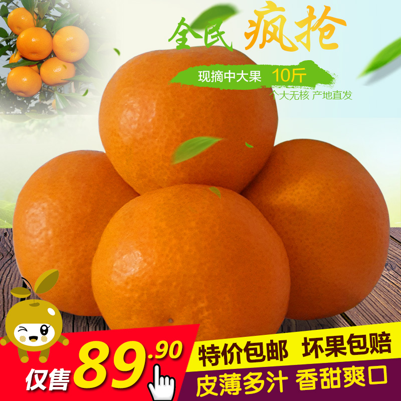 临海涌泉蜜橘子大果无核黄岩蜜桔子台州特产新鲜美味多汁爽口