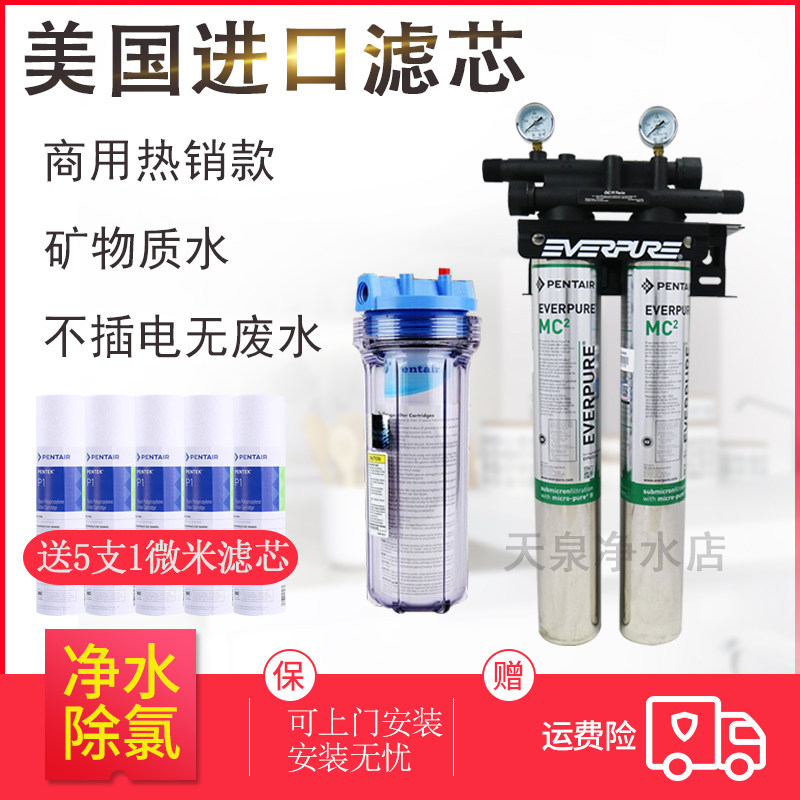 爱惠浦双联mc2咖啡店奶茶店专用净水器 直饮机制冰机商用大流量