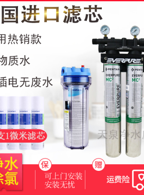 奶茶店制冰机大流量净水器爱惠浦