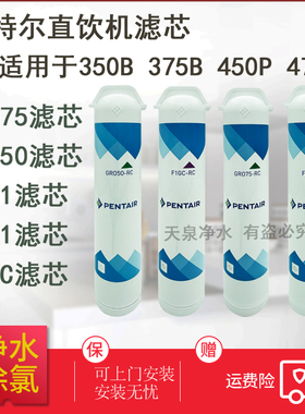 滨特尔GRO375B 450P 475P 350B纯水机滤芯活性炭反渗透直饮净水器