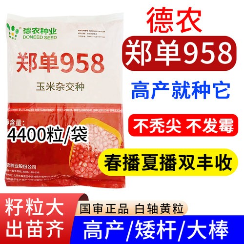 德农郑单958玉米种子杂交种4400粒装高产不秃尖春播夏播双丰收