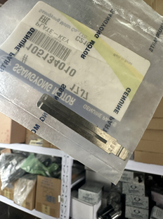 双龙爱腾享誉雷斯特钥匙呸子胚子原装进口配件