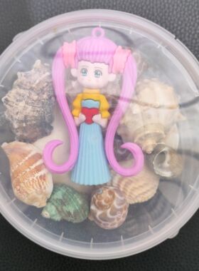 北海天然小海螺贝壳卡通塑料桶装套装海边旅游纪念品手伴礼礼物