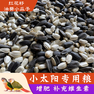 小太阳鹦鹉专用饲料鸟粮鸟食增肥营养磨牙零食混合型油葵瓜子种子