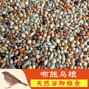 野外布施鸟粮鸟食专用饲料阳台窗台户外野鸟小米麻雀斑鸠喜鹊乌鸫