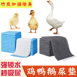 养小鸡鸭子专用笼子除臭垫料幼鹅尿不湿尿垫柯达鸭柯尔鸭宠物用品