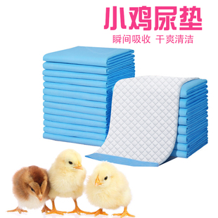 养小鸡专用笼子家用垫料除臭粪兜屎兜一次性尿不湿纸尿裤 宠物用品