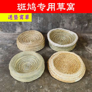 斑鸠专用鸟窝鸟巢草窝繁殖孵蛋鸟笼子家用幼鸟幼崽野鸽子珠颈用品
