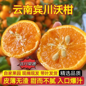 云南宾川沃柑大理高山原产新鲜5斤9斤蜜桔柑橘子应季现摘一级