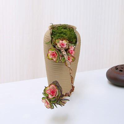 造型锦绣牡丹多肉植物木质老桩居家绿植盆栽新手好养盆栽庭院露养