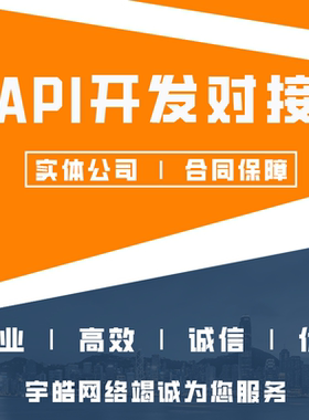 api接口对接开发定制三方接口二次开发技术服务系统源码定制开发