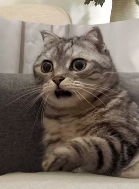 表情包猫meme抱枕定制可爱搞怪笑鬼畜猫咪玩偶沙发靠垫礼物枕头