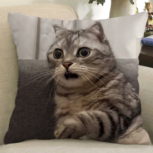 表情包猫meme抱枕定制可爱搞怪笑鬼畜猫咪玩偶沙发靠垫礼物枕头