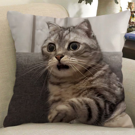 表情包猫meme抱枕定制可爱搞怪笑鬼畜猫咪玩偶沙发靠垫礼物枕头