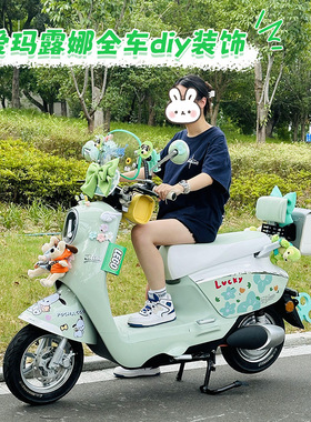 爱玛露娜pro配饰绿色电动车装饰挡风板挂包改造小配件大全元宇宙